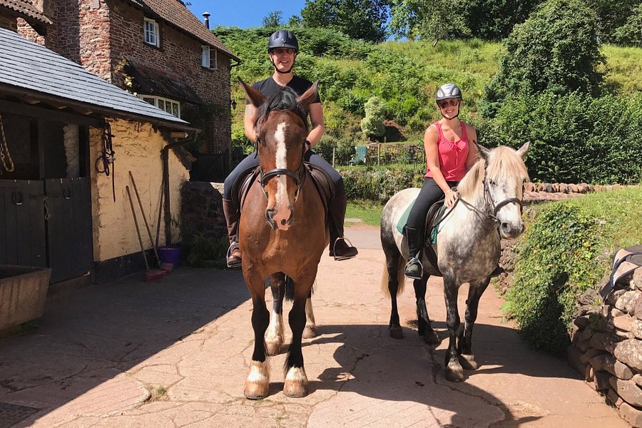 Burrowhayes Farm Riding Stables image