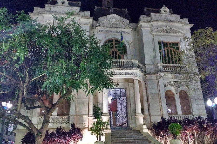 Rio Branco Palace image