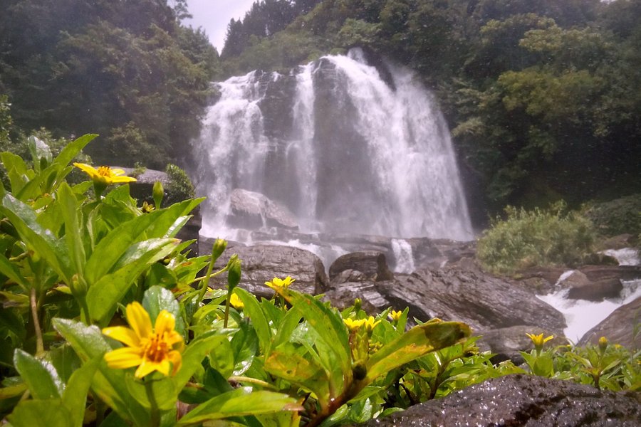 Galboda Falls image