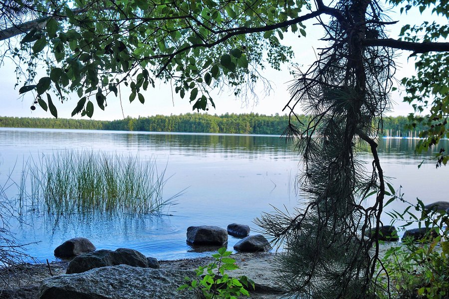 Lake Massabesic image