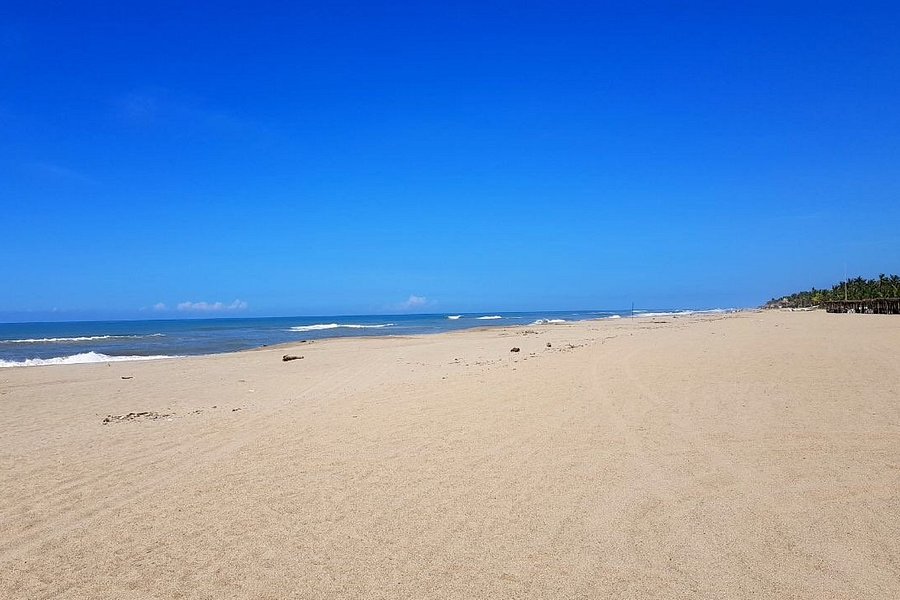 Playa de Barra Vieja image
