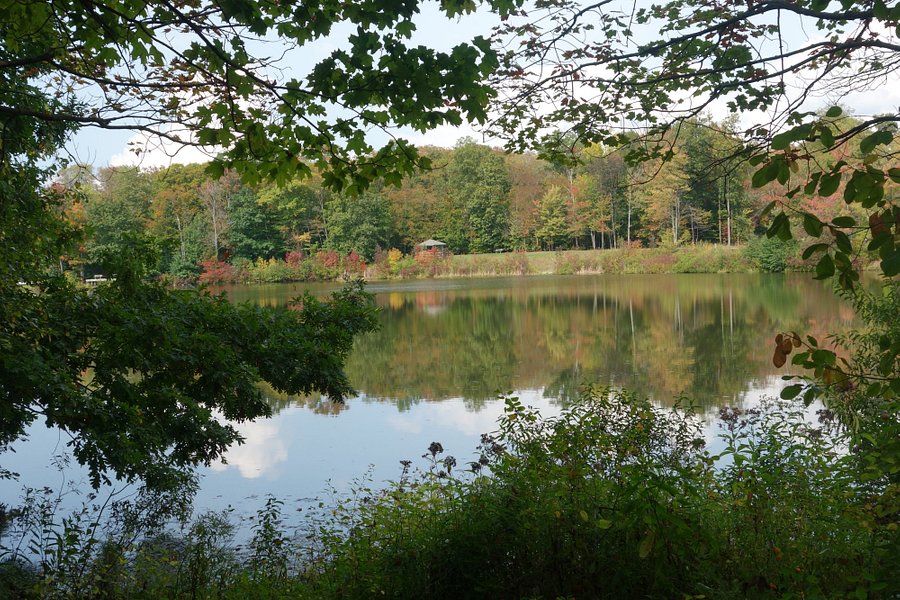 Beartown Lakes Reservation image