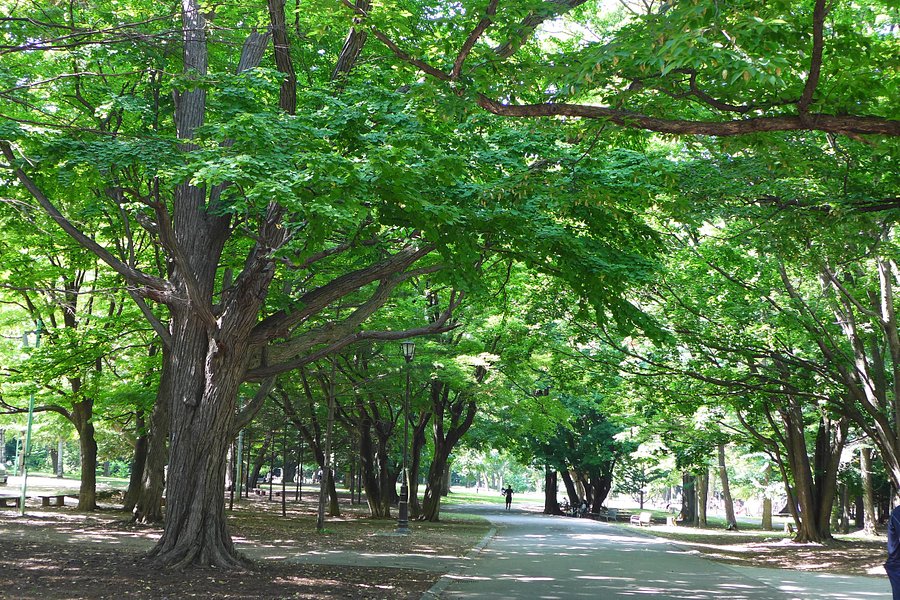 Maruyama Park image