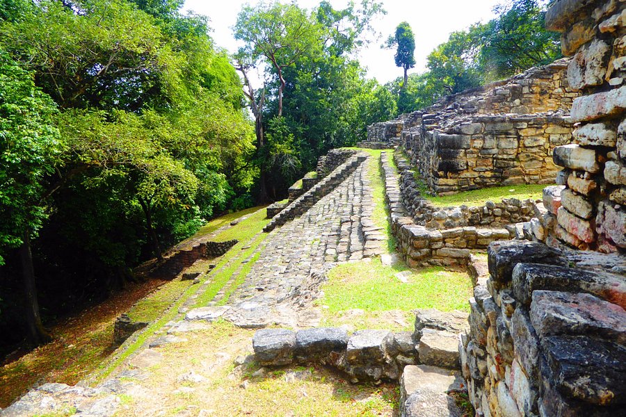 Zona Arqueológica de Yaxchilán image