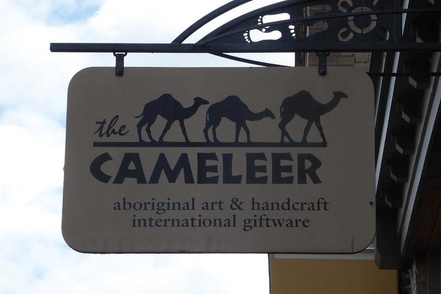 The Cameleer image