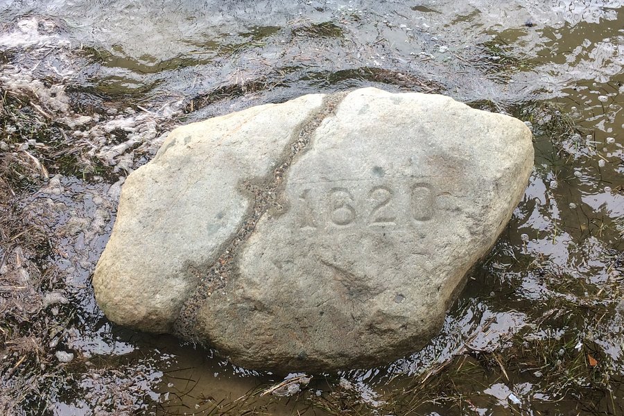Plymouth Rock image