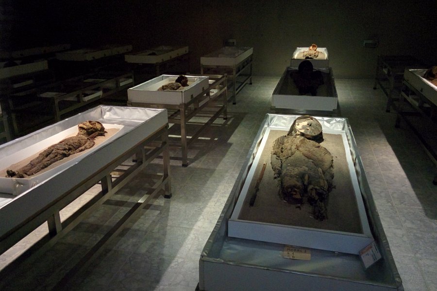 Museo Momias Chinchorro image