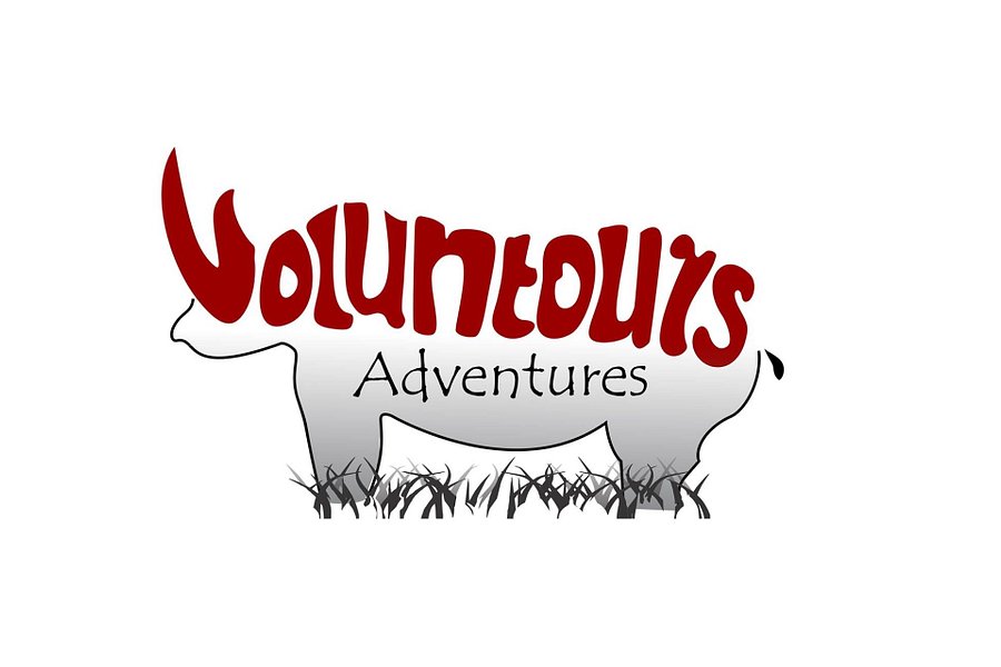 Voluntours Adventures image