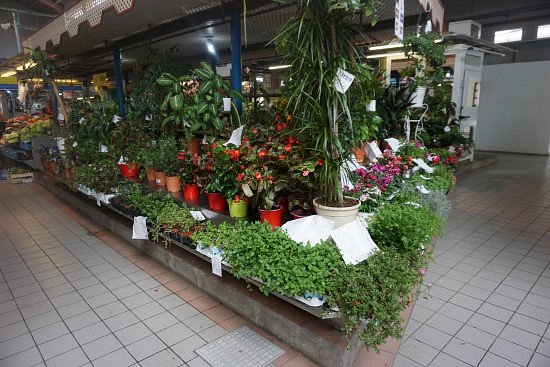Benicarlo Central Market image