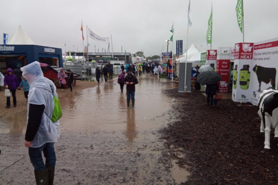 National Ploughing Championships image
