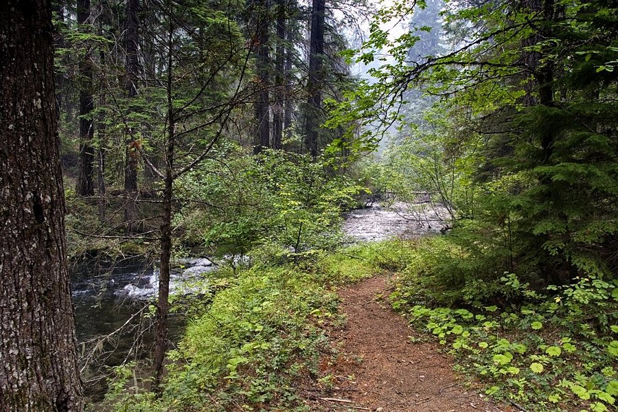 Union Creek Trail image