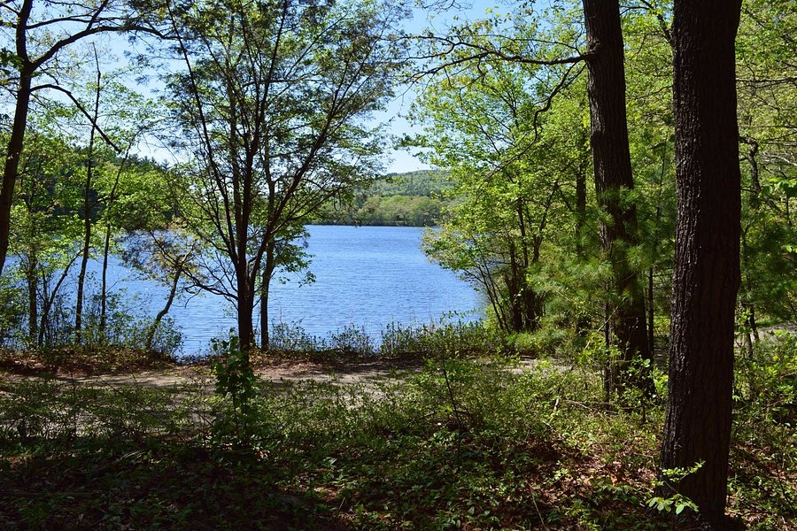 Houghton's Pond image