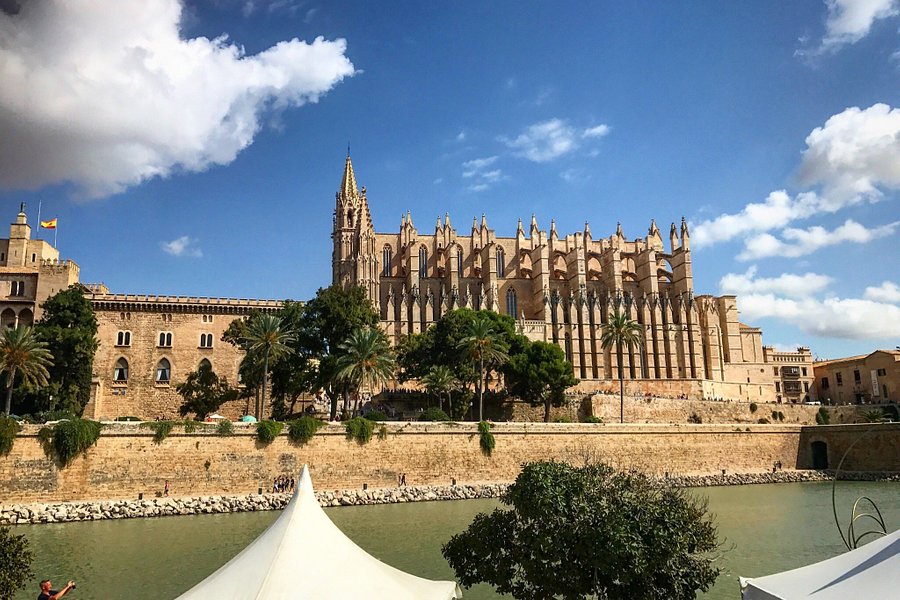 Catedral de Mallorca image