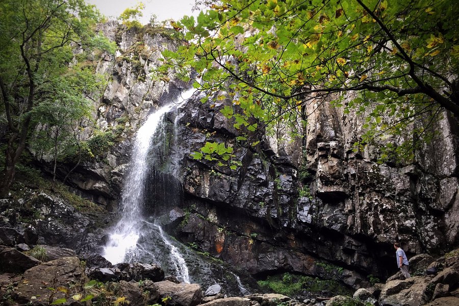 Boyana Waterfall image