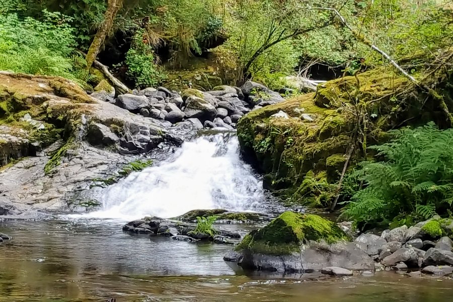 Sweet Creek Falls image