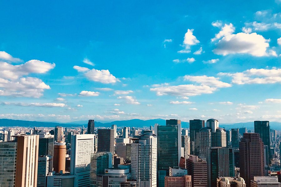 Umeda Sky Building image