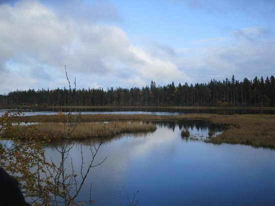 Grössjön Nature Reserve image