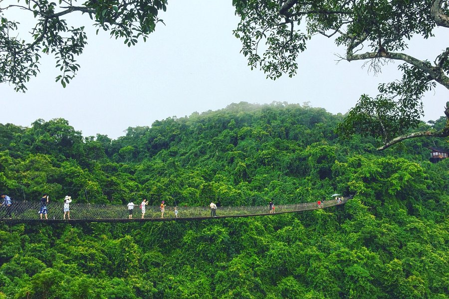 Yalong Bay Tropical Paradise Forest Park image