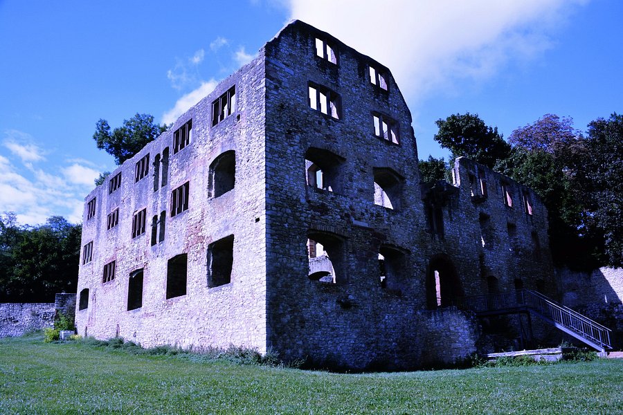 Burg Landskron image