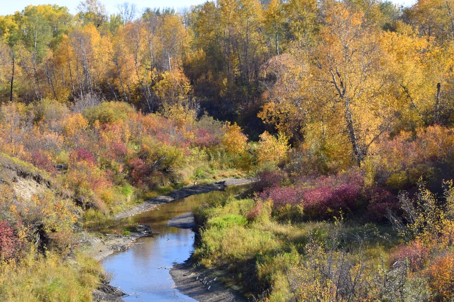 Beaver Creek Conservation Area image