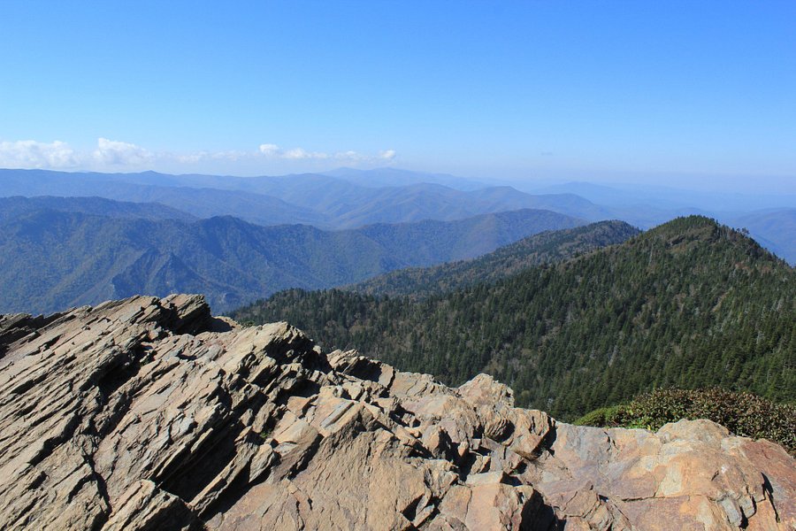 Mount LeConte image