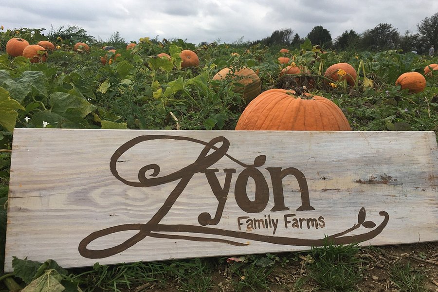 Lyon Family Farms image
