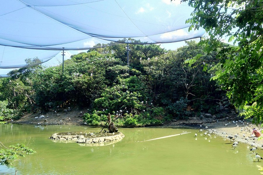 Neo Park Okinawa image