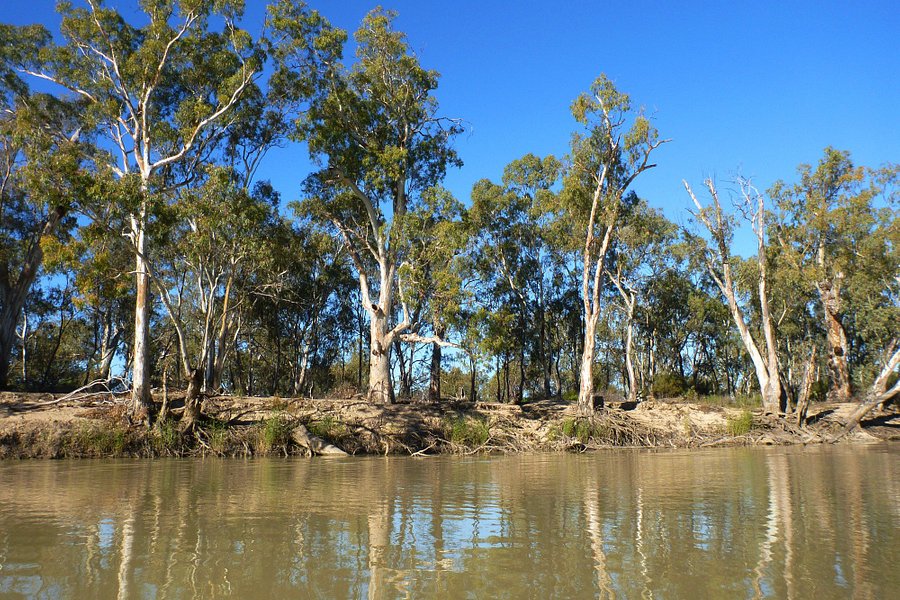 Murray River National Park image