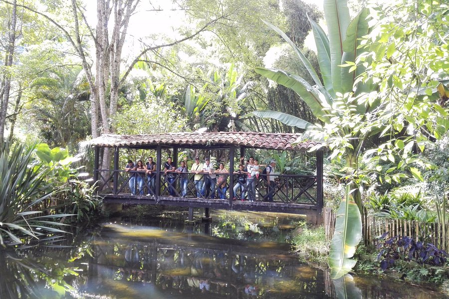 Jardin Botanico Los Balsos image
