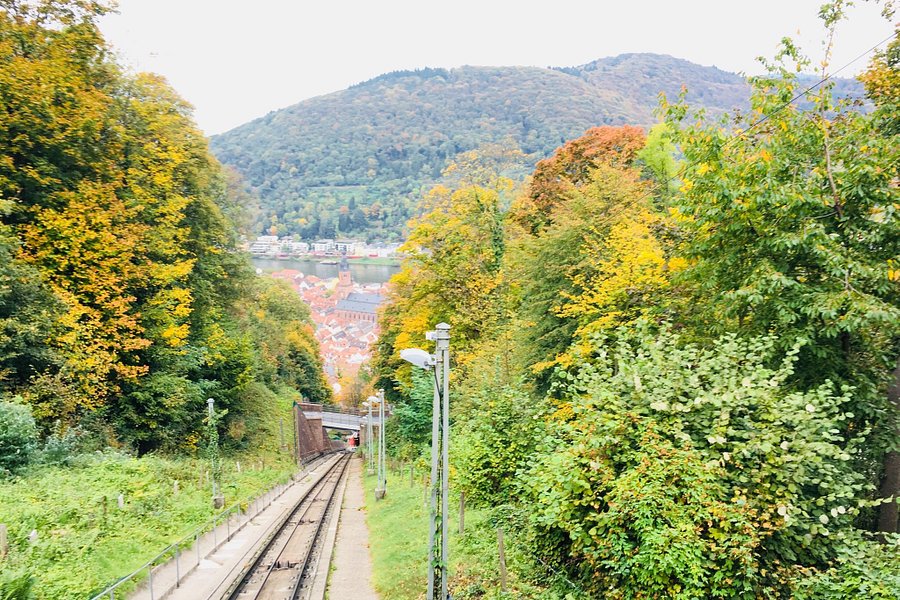 Konigstuhl Funicular (Bergbahn) image