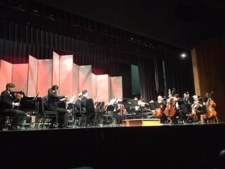 Prince George Symphony Orchestra image