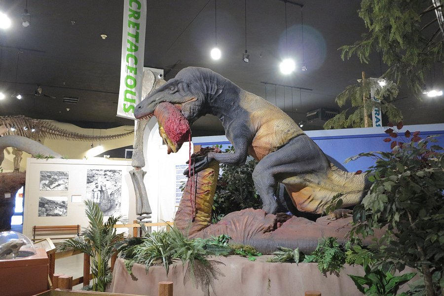 Museum of Western Colorado: Dinosaur Journey Museum image