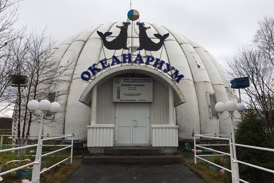 Murmansk Oceanarium image