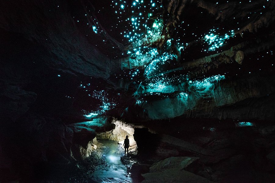 Down to Earth - Eco Cave Tours In Waitomo image
