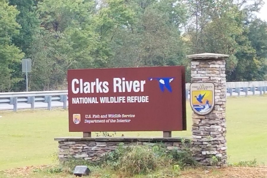 Clarks River National Wildlife Refuge image