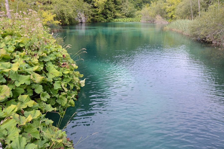 Burgeti Lakes image