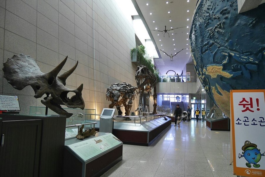 Geological Museum image