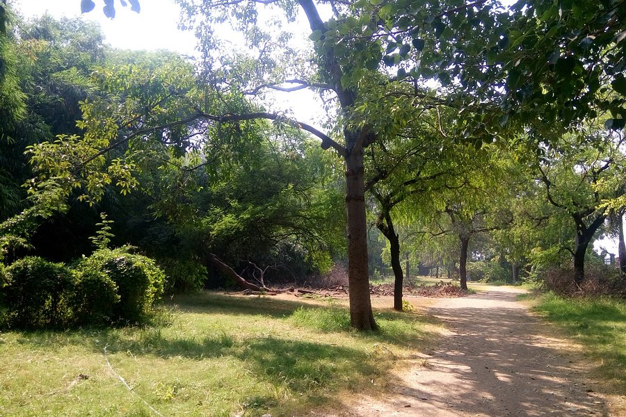 Sarthana Nature Park image