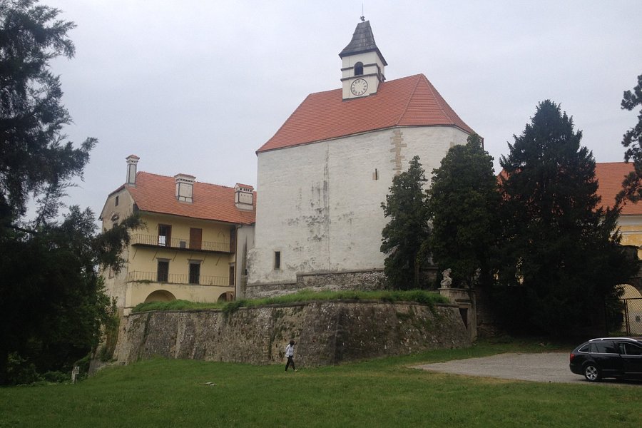 Borl Castle image