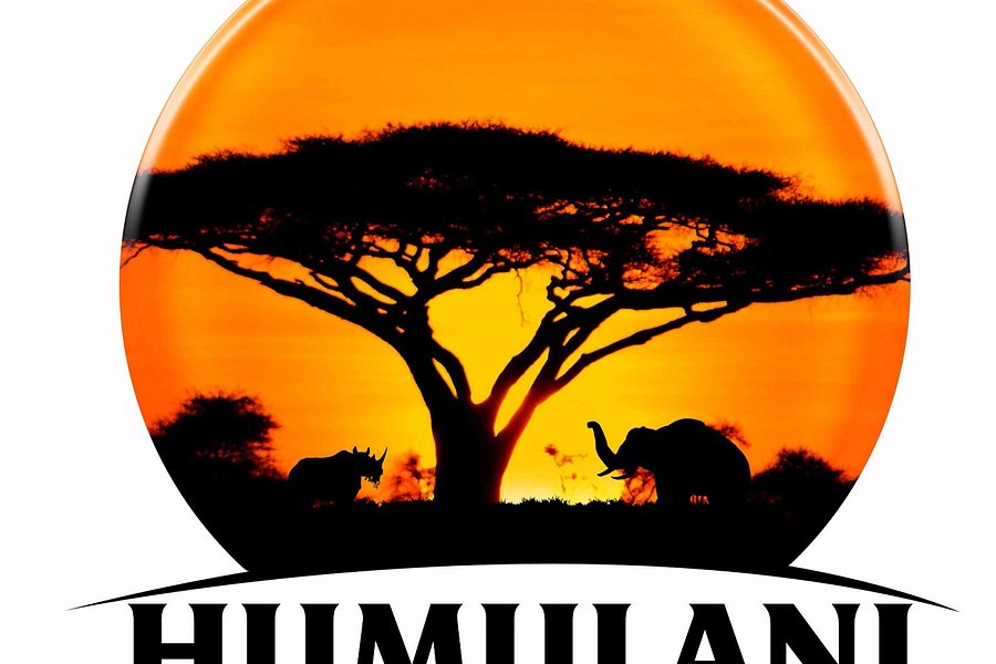Humulani Tours & Safaris image