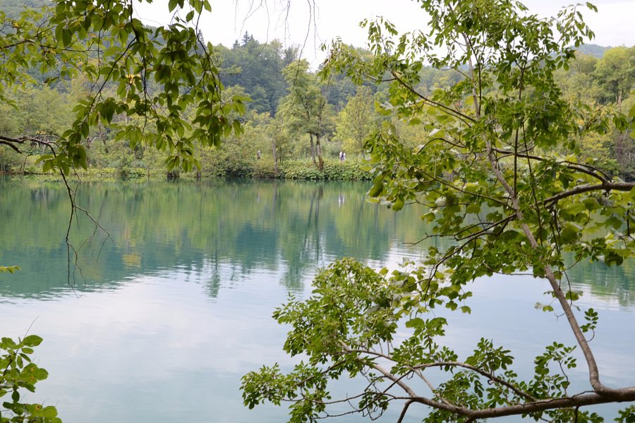 Batinovac Lake image