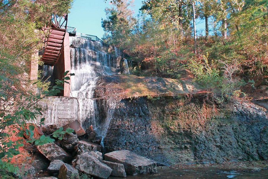 Dunn's Falls Water Park image
