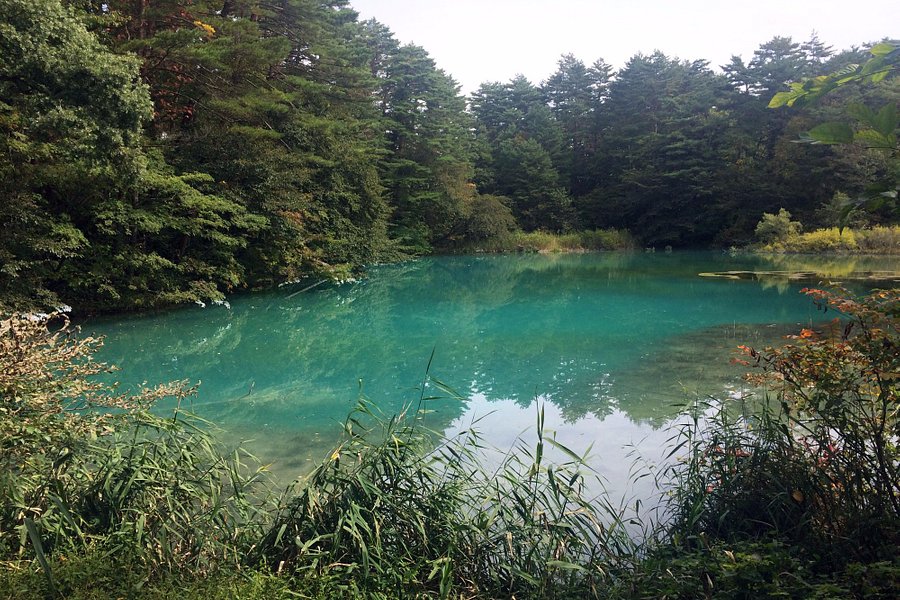 Goshikinuma Lake image