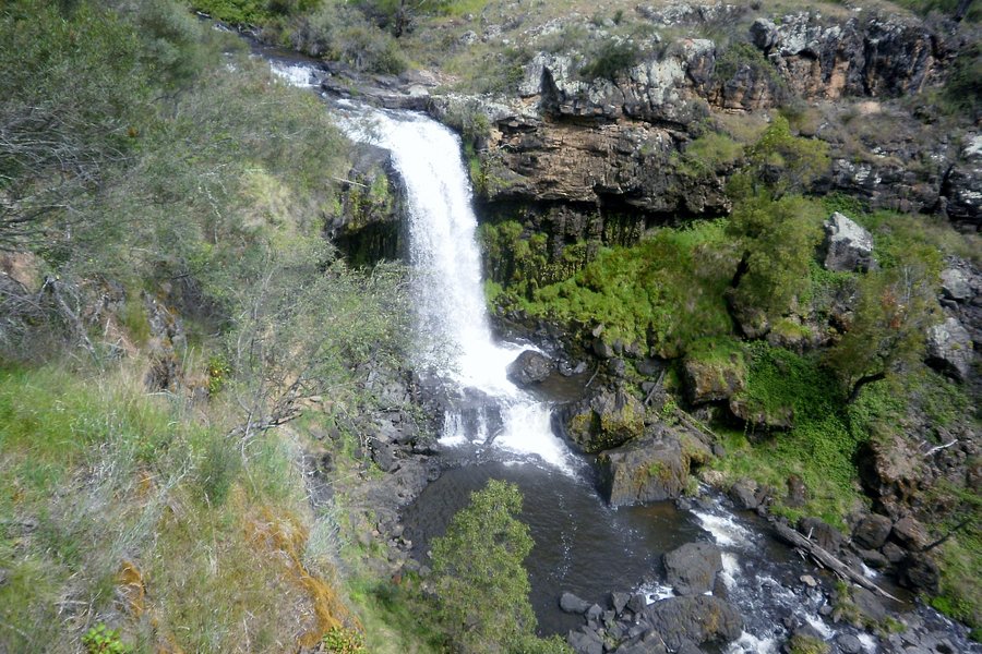 Paddys River Falls image