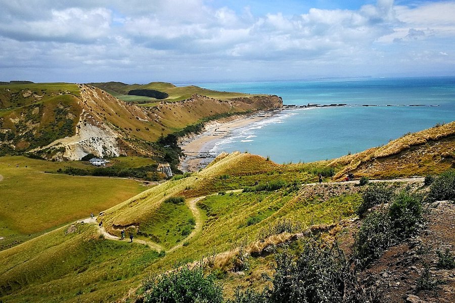 Cape Kidnappers image