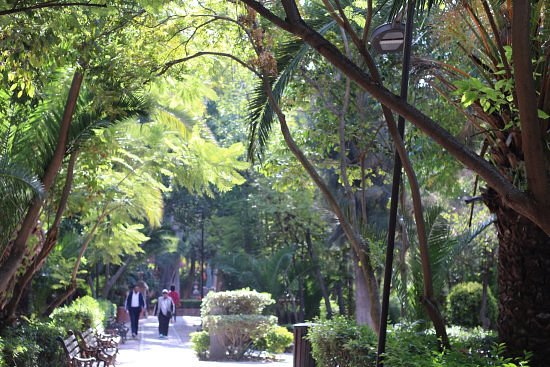 Parque Benito Juárez image