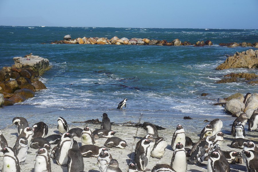 Personal Cape Town Tours Day Tours image