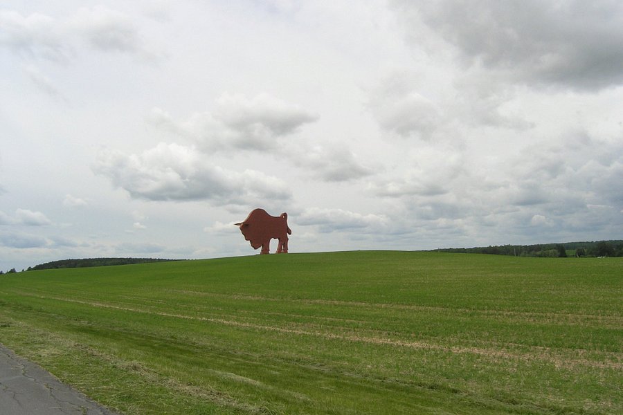 Bison on Route Brest - Minsk image