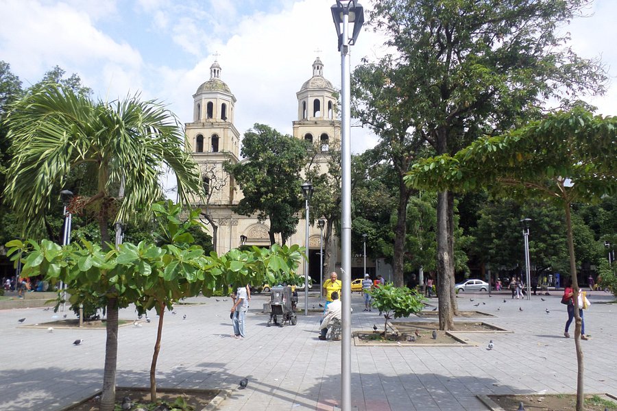 Plaza Parque Santander image