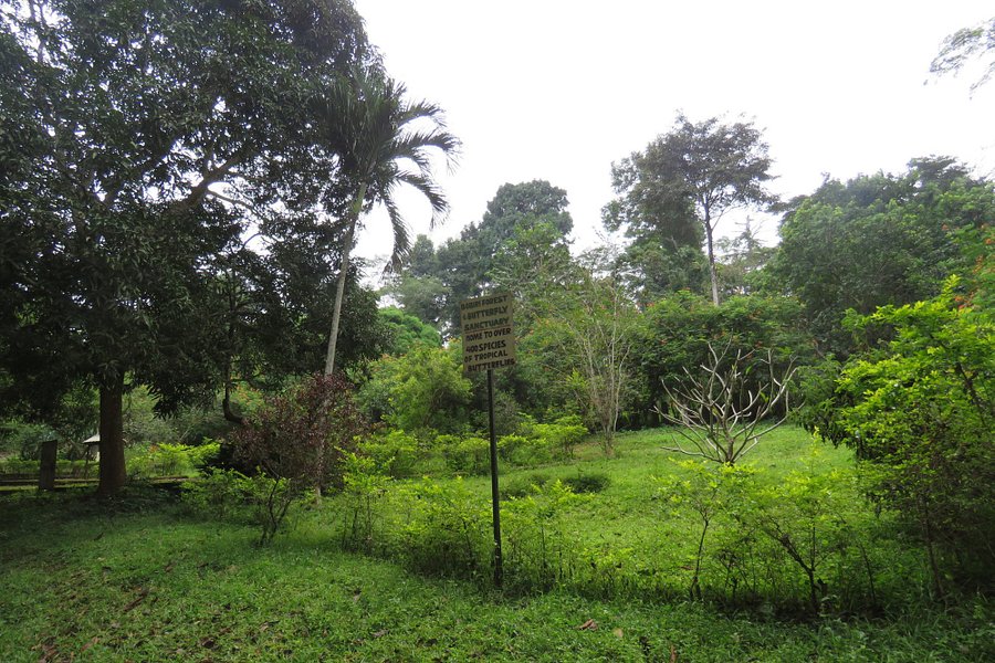 Bobiri Forest Reserve image